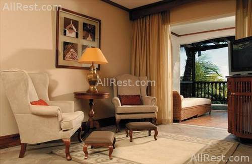 Royal Palm 1